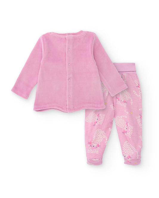 CONJUNTO GATITA