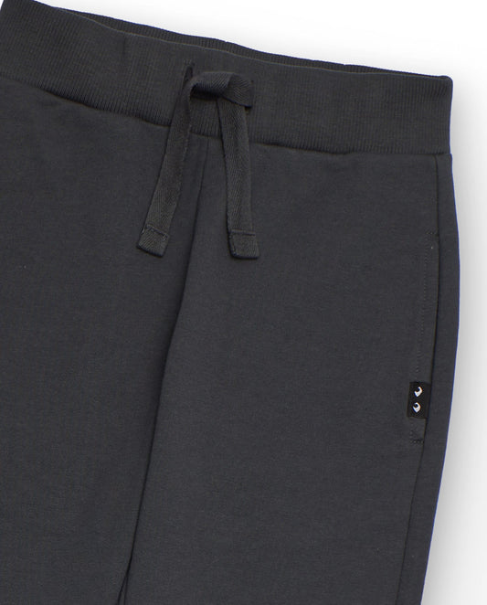 Patalón jogger gris